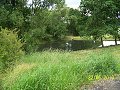 Revitalizace rybn�ka Ot�n